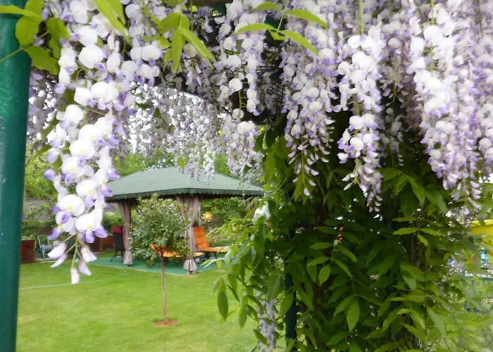 펜션 Koehler Wittenberg